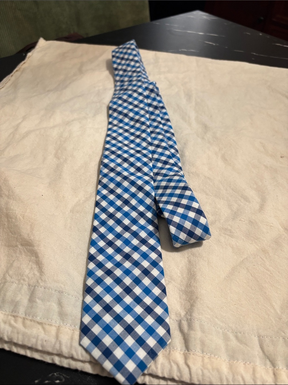 J. Crew Blue and White Gingham Tie